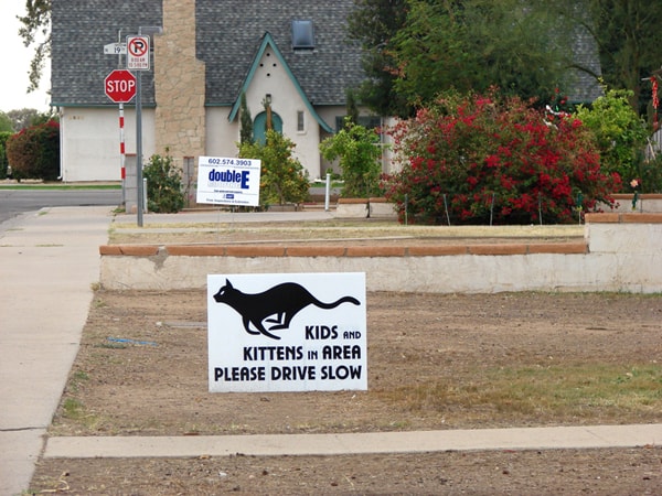 Caveat the Cats yard sign -- side view in yard